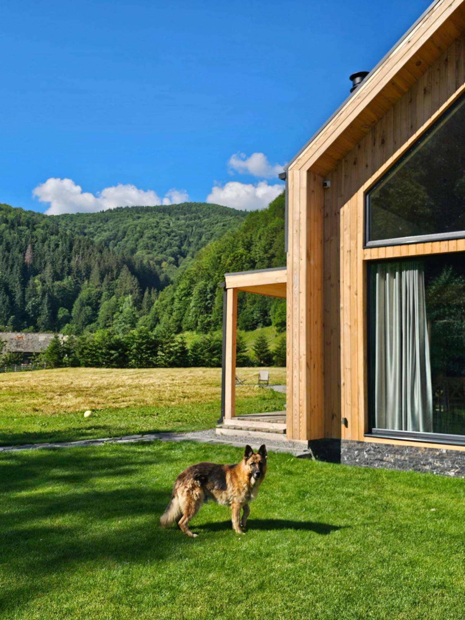 Vama Chalet Bodzavám Kültér fotó