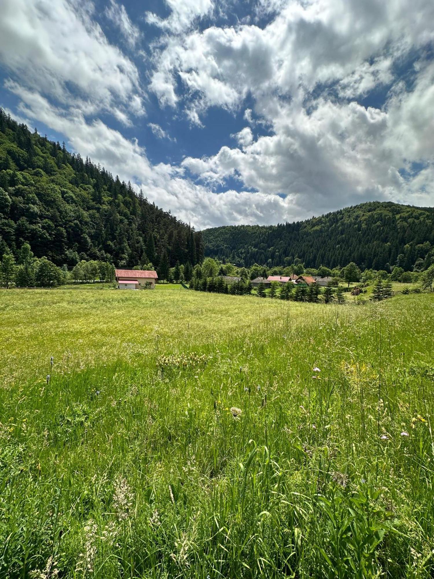 Vama Chalet Bodzavám Kültér fotó