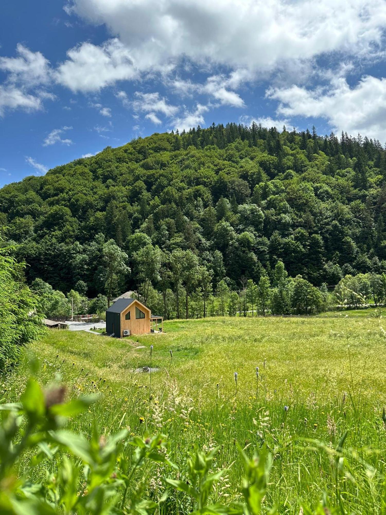 Vama Chalet Bodzavám Kültér fotó